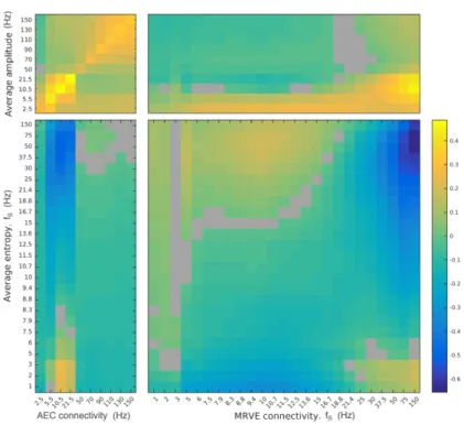Figure 6: The correlation between average oscillatory amplitude/entropy and the overall connectivity strength at each voxel as measured by AEC and MRVE correlation