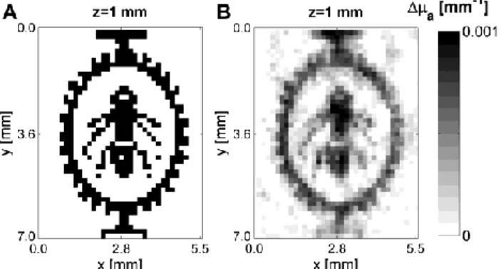 Figure 2-4: Representative slices from the volume at 1 mm (A) Numerical complex phantom with  100% contrast, (B) reconstruction from simulated data