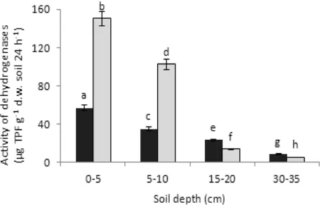 Fig. 3. Mean values of soil organic matter (SOM) content under conventional tillage (CT) and reduced tillage (RT) at different depths, for the years 2013-2015