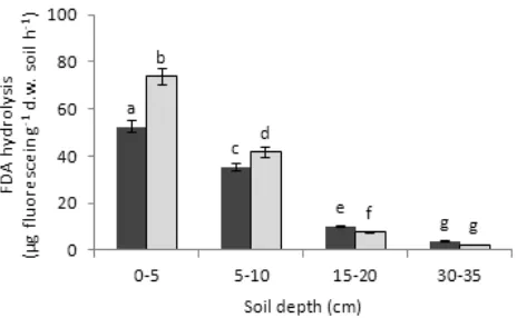 Fig. 5. Effect of tillage systems on microbial hydrolytic activity in soil. Explanations as in Fig
