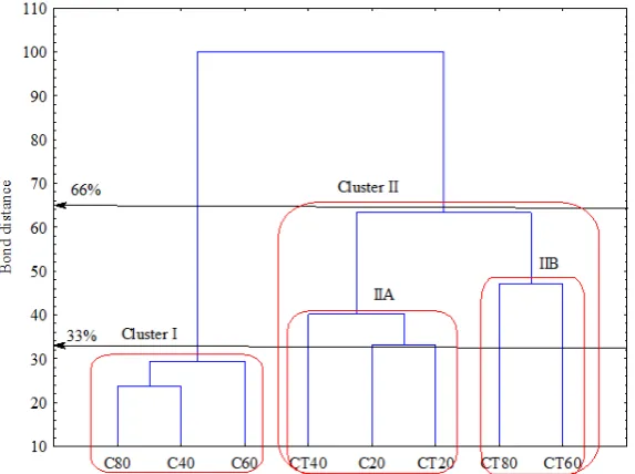 Fig. 5. Cluster analysis – based on a dendrogram showing correlations between tested soil samples in relation to the utilisation of carbon sources.