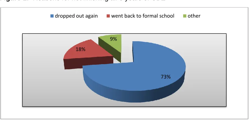 Figure 1:  Reasons for not finishing all 3 years of CBE 