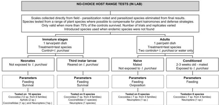 Figure 3. Procedures used for feeding range trials of Rodolia cardinalis