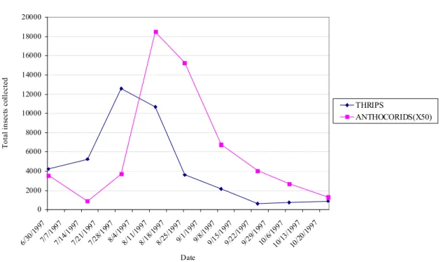 Figure 1. Total number of insects collected from Ficus nitida leaf galls during weekly sampling during summer-fall 1997 at a location in downtown Riverside, California, U.S.A.