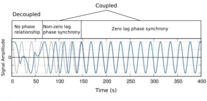 Figure 1. Oscillatory components: amplitude and phase 