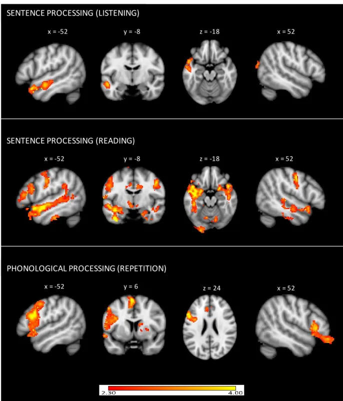 Figure 1. Group activations for the different language processes. All results are cluster -corrected at z = 2.3, p 