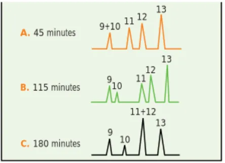 Figure 17 illustrates that, for proteins, decreasing the slope of the gradient generally improves resolution.