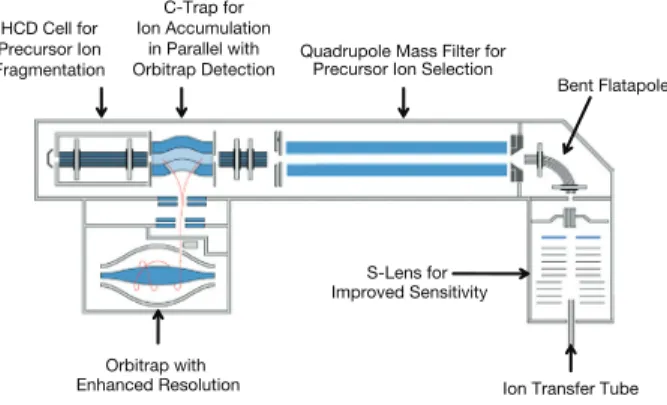 Figure 1. Schematic representation of the Q Exactive quadrupole  mass spectrometer