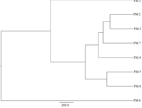 Fig. 5. Phylogenetic tree for representative 16S rRNA gene sequences. The scheme indicates the phylogenetic relationships between microorganisms in various stages of anaerobic digestion