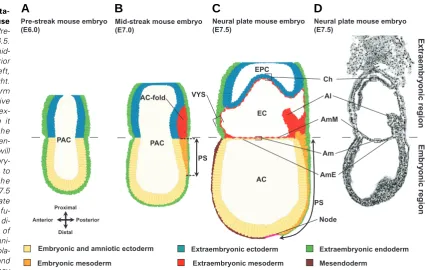 Fig. 3. Schematic representa-