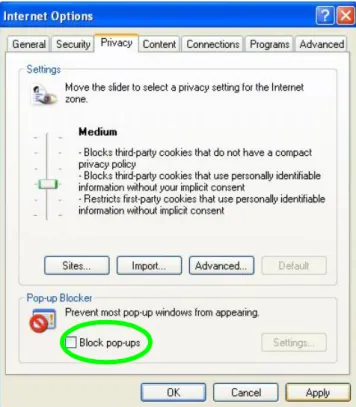 Figure 131    Internet Options: Privacy                               