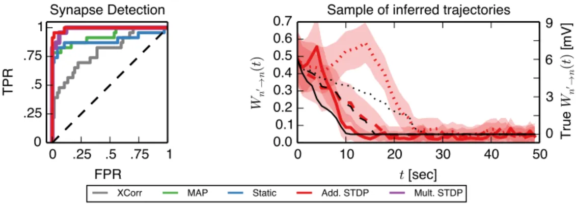 Figure 3: Evaluation of synapse detection on a 60 second spike train from a network of 10 neurons undergoing synaptic plasticity with a saturating, additive STDP rule, simulated with NEURON