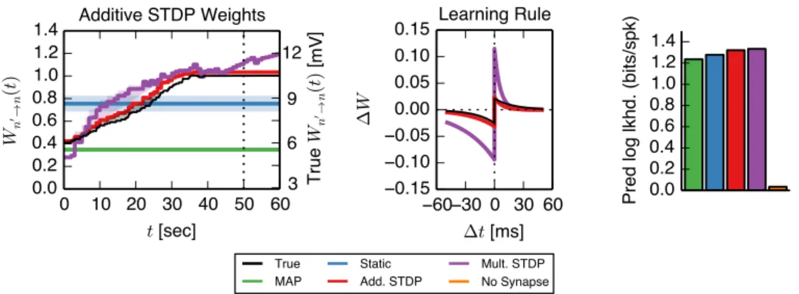 Figure 4: Analogously to Figure 2, a sparse, time-varying GLM can capture the weight trajectories and learning rules from spike trains simulated by NEURON