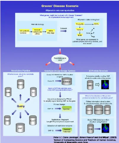 Figure 1   A schematic diagram describing the Graves' disease scenario. 
