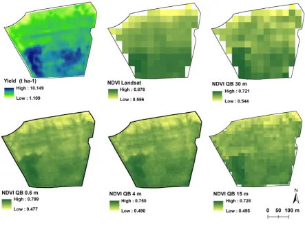 Fig. 1. Maps of kriged yield predictions in the experimental field during the observed years: a – 2007 – winter barley, b – 2011 – winter wheat, and c – topographic wetness index model map.
