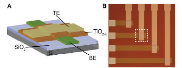 FIGURE 2 | (A) Cross-section and (B) microphotograph of the memristive device prototype employed in this work.