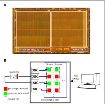 FIGURE 4 | (A) Micrograph of the multi-purpose neuromorphic chip die showing the neuron tile array and the bias generator