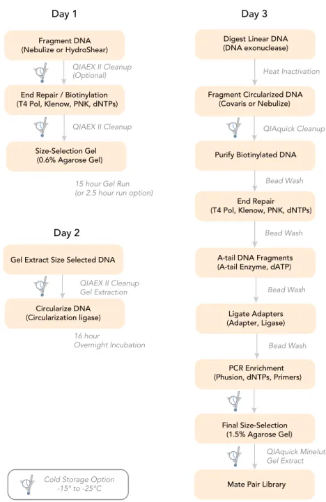Figure 7 shows a typical workflow to prepare a 2–5 kb mate pair library. 