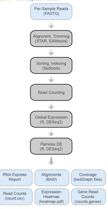 Figure 5 RNA Express Workflow