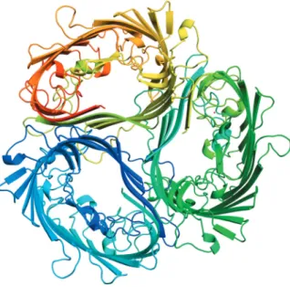 Figure 5. 1A0S—sucrose-specific porin rendered in high quality and high resolution 4650 · 3300 pixel with the ‘color by rainbow’ function.