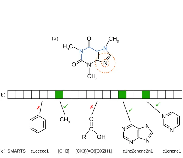 Figure 2.2: Molecular structure of caffeine and fingerprint representations. (a) Molecular structure with highlighted examples of combinatorial fingerprints