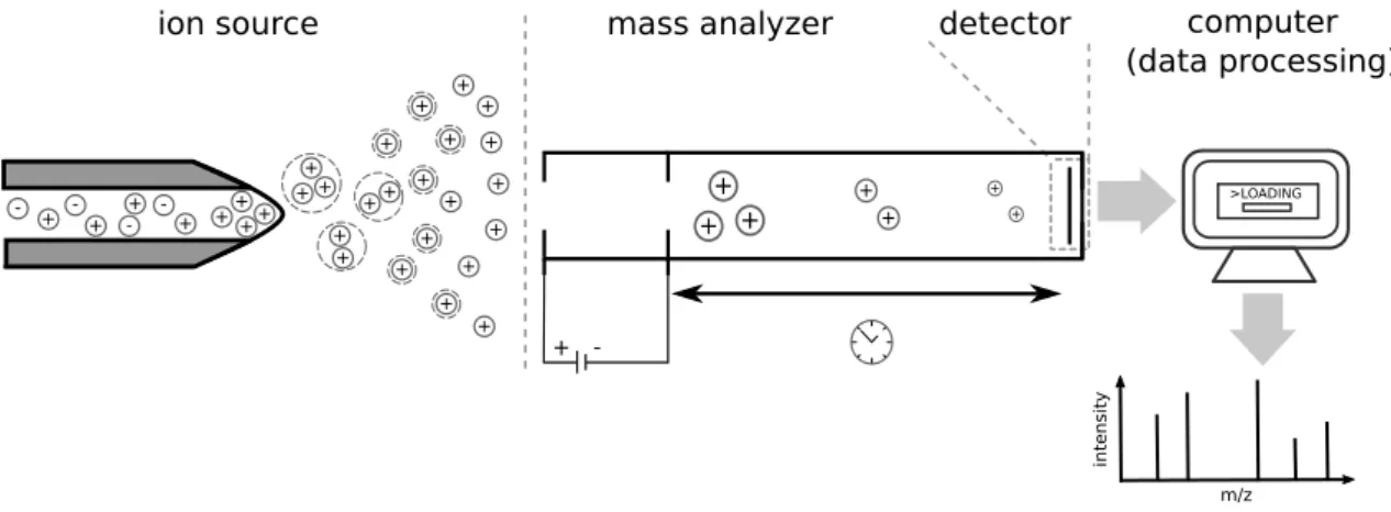Figure 2.3: Schematic illustration of a mass spectrometer with electrospray ionization (ESI) as ion source and a time-of-flight (TOF) mass analyzer