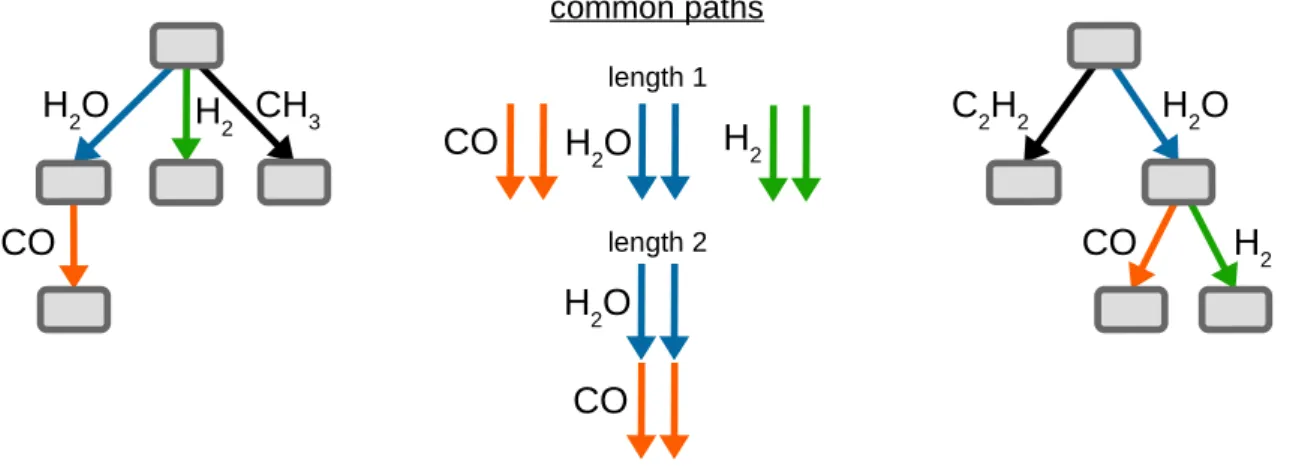 Figure 4.2: Common path counting kernel between fragmentation trees [184]. Two paths are considered equal if they have the same sequence of edge labels (losses)