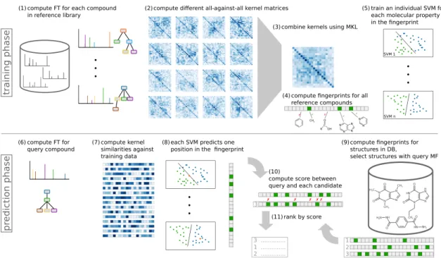Figure 4.3: CSI:FingerID workflow. In the training phase MS/MS spectra of reference compounds are used