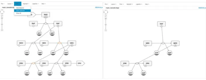 Figure 4 Mapk cascade SBGN diagram and selected processes are orange (left) and after showing only selected  node by SBGNViz.js taking SBGN context into consideration (right) 