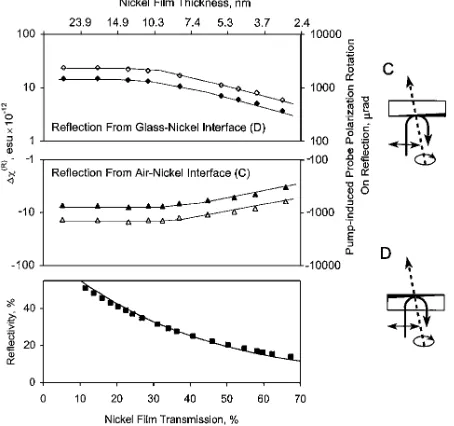 Fig. 1.Pump-induced probe polarization-azimuth rota-tion at zero pump–probe delay observed in transmissionexperiments for opposite directions of propagation (� and�) and the corresponding values of the optical nonlinearityDx�T� in nickel, calculated from E