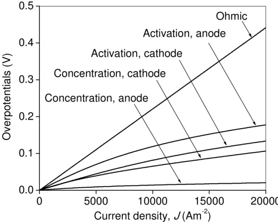 Fig. 4. Theoretical activation, concentration, and ohmic overpotentials of an anode-supported SOEC 