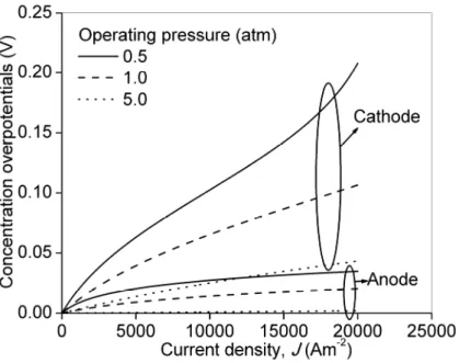 Fig. 5. Effect of operating pressure on concentration overpotentials 