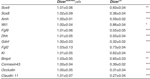 TABLE 1