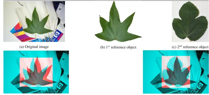 Figure 4: Conceptual basis of leaf object cropping and background removing in an image.