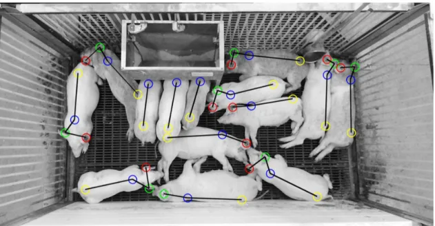 Figure 1.1: A compelling example of a pig keypoint and orientation detector from http: