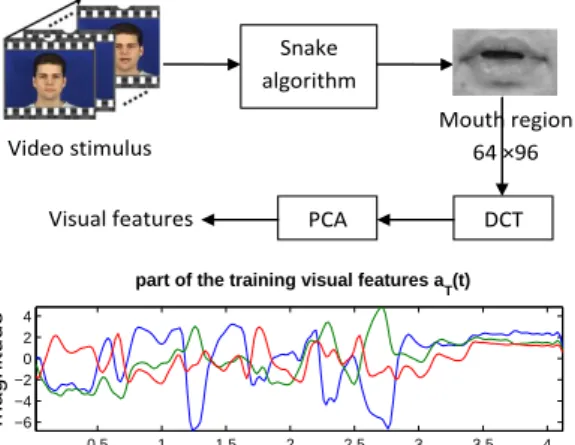 Fig. 2. The visual feature extraction process and part of the training visual features a T (t).