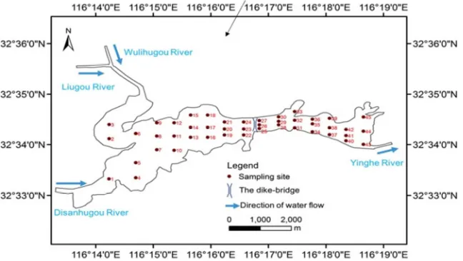 Figure 1. Location of Balihe Lake and the distribution of 45 sample sites. 