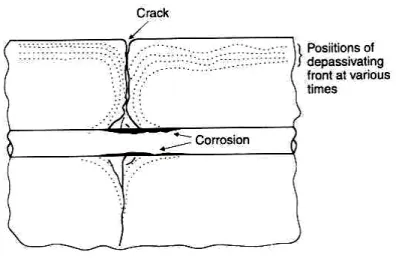 Figure 1  Schematic representation of the advance of the depassivation front in a cracked region  [31] 
