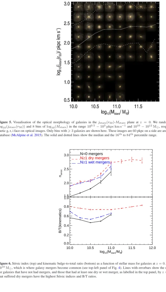 Figure 5. Visualisation of the optical morphology of galaxies in the j stars (r 50 )-M stars plane at z = 0