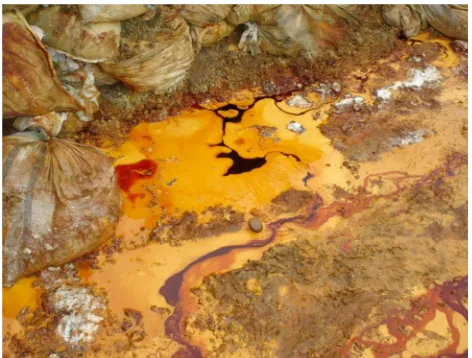 Figure 1. Acid mine drainage in piles of accumulated material, exposed to rain, humidity and high temperatures in the area (Ponce Enríquez mining district, Azuay province, Ecuador)