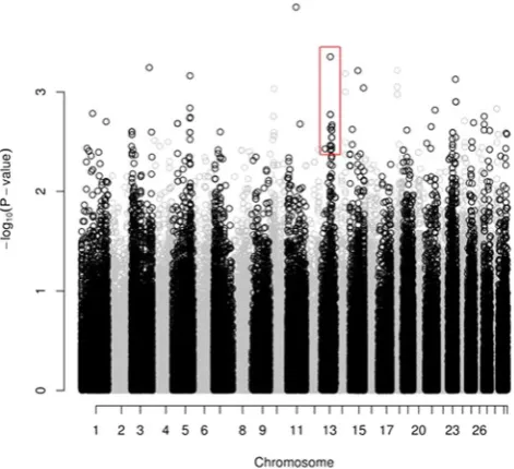 Figure 6. SNP Association of genotypes and fertility for whole-exome sequence data. Manhattan plot shows the association of variants identified by whole-exome sequencing and their associated P-value with the adjusted animal model fertility phenotype