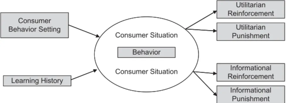 FIGURE 1 Summative Behavioral Perspective Model.