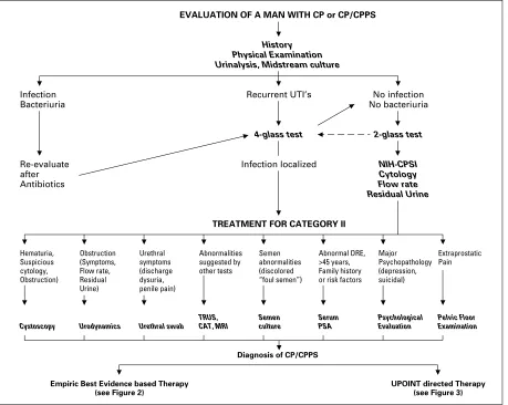 Fig. 2. Diagnostic algorithm for a patient presenting with a chronic prostatitis syndrome.