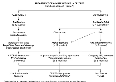 Fig. 3. A best-evidence approach algorithm to manage chronic prostatitis/chronic pelvic pain syndrome.