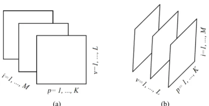 FIGURE 2. Frontal (A i ) and lateral (A v ) slices of the tensor A that are handled within PET images