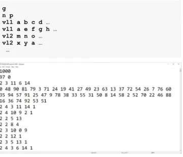 Figure 7. The general dataset format required for DGCNN. 