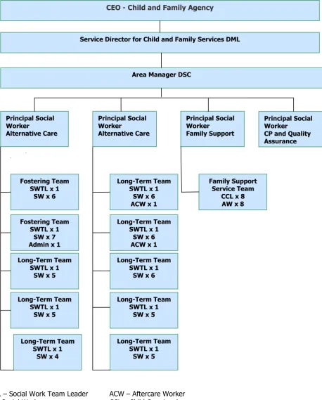 Figure 1: Organisational structure of the Children’s Foster Care Services, Dublin South Central SA* 