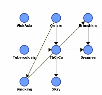 Figure 2.7  Bayesian Network showing quantities level dependencies variables  (drawn by using BaysiaLab from www.bayesia.com) 