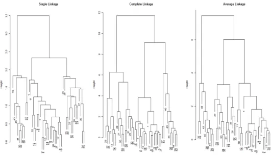 Figure 3.2: Dendrogram of Hierarchical Clustering using Euclidean Distance