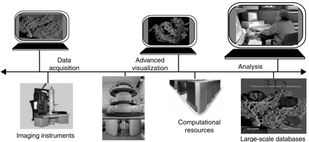 Figure 1.1 Grid resources linked together for neuroscientist Mark Ellisman’s Telescience appli- appli-cation (http://www.npaci.edu/Alpha/telescience.html).